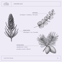 A La Maison Lavender Aloe deodorant application stick for smooth, long-lasting protection
