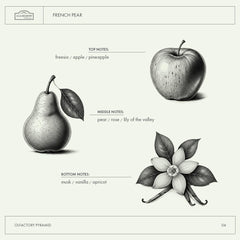 A LA MAISON French Pear fragrance image highlighting subtle pear scent and soothing vibes.