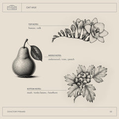 A LA MAISON Oat Milk Body Wash label-closeup highlights simple ingredients.