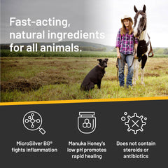 Absorbine Silver Honey Rapid Skin Relief Shampoo being applied to pet skin