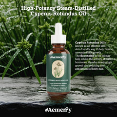 Close-up of Cyperus Rotundus oil blend with nourishing plant oils.