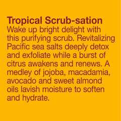 Nourishing oil blend in Alba Botanica scrub for skin hydration.