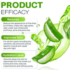 AloeMoist Revive organic ingredients illustration highlights aloe vera, jojoba oil, and antioxidants.