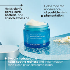 Andalou Naturals Argan Stem Cell Recovery Cream jar closeup highlights soothing, calm formula.