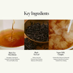 ANILLO application shot showing easy spread and rinse for smoother hair.