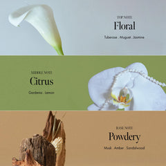 ANILLO Gardenia Veil color vibrancy shot shows enhanced tone on color-treated hair.
