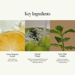 ANILLO Lime Sunday Refresh features Green Mint Complex for a cooling, refreshing scalp.