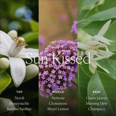 Antica Farmacista Sun Kissed gift packaging conveys thoughtful, festive luxury.