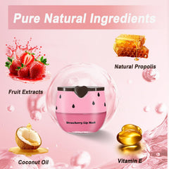 Anweina Bee Lip Balm apple pot for hydrating care and natural shine