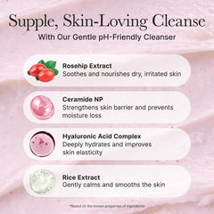 ARENCIA Rosehip Rice Cake Cleanser foamy lather closeup illustrating mild cleansing action