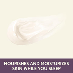 Aveeno Absolutely Ageless night cream texture closeup highlights creamy non-greasy formula.