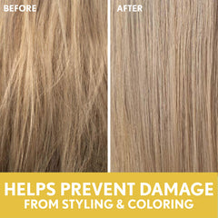 Aveeno Deep Moisturizing Sunflower Oil Blend Shampoo ingredients close-up highlights oat
