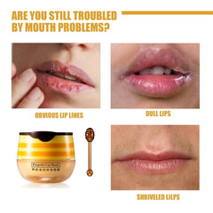 Axnzp Honey Pot Lip Balm packaging with built in lip brush for easy nightly application