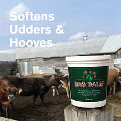 Lanolin-enriched Bag Balm formula nourishes the skin gently.