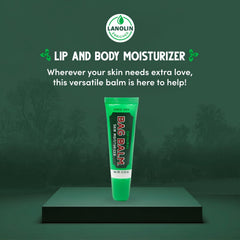 Bag Balm Original on paws or noses during travel