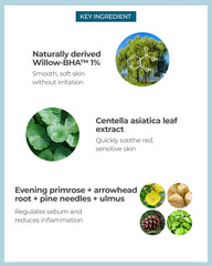 BE THE SKIN Pore Zero serum ingredients: Cica and willow bark soothe redness and balance.