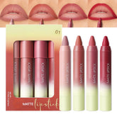 BINGBRUSH 4PCS 2in1 lip liner and lipstick set for all-day defined lips.