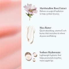 Marshmallow root extract graphic emphasizes deep hydration and smooth lips