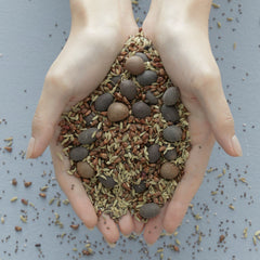 BLITHE Vital Treatment with green tea extracts promotes antioxidant-rich skin care.
