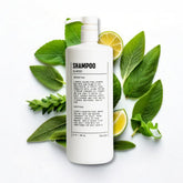 Blu Atlas Men's Shampoo bottle front view with bergamot aroma for daily freshness.