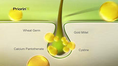 bodi PRIORIN ingredients millet extract for natural hair structure support.