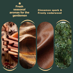BODY & EARTH beard oil bottle close-up, sandalwood cedar scent, daily conditioning