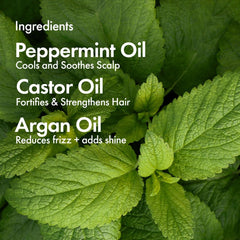BondiBoost Elixir Hair Oil frame highlights frizz control in humid conditions.