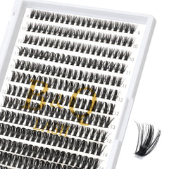 BQaugen false eyelash tray with 280 clusters for versatile looks.