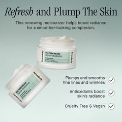 Brandefy Water Cream Refresh with niacinamide glow for refined texture.