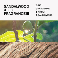 Sandalwood and fig notes highlighted for daily energizing scent