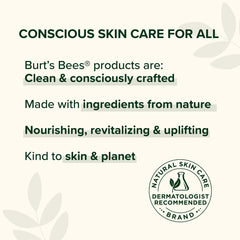 Burts Bees original beeswax balm tubes shown in festive packaging.
