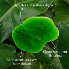 Foamy lather from California Naturals Body Wash during shower for hydration.