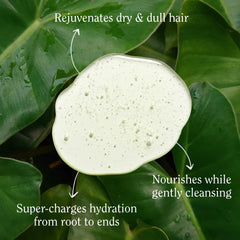 California Naturals shampoo foam reveals gentle cleansing that preserves moisture.