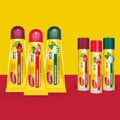 Carmex Daily Care pack close-up highlighting tubes and sticks for versatile lip protection.