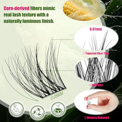 CCODDY bond and seal for long-lasting, natural-looking lashes