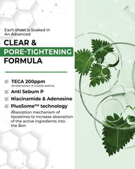 Centellian 24 Lab Mask vegan sheet delivering clean hydration.