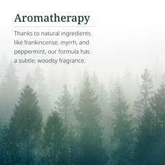 Century Systems H.E.A.L. QUICK Lotion woodsy fragrance from natural botanicals