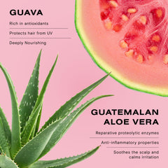 Ceremonia Guava leaf extract close-up highlighting nourishing botanicals.