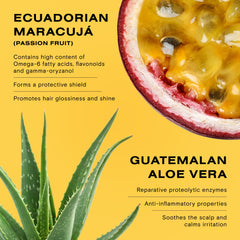 Ceremonia Moska Babassu and Rapeseed oils shown for smooth application