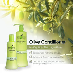 Chihtsai Olive Conditioner kiwi extract detail highlights scalp vitality