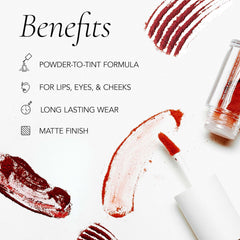 CLE Melting Lip Powder Desert Rose lip swatch reveals long lasting matte tint