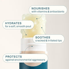 Cliganic Lip Balm Set Vanilla for subtle, comforting lip hydration