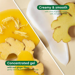 COCAY HOALA VIETNAM lemongrass ginger conditioner tube showcases creamy formula for smoother, manageable hair