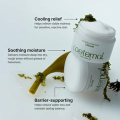 Coeternal Calming Hydration Cream niacinamide close-up for moisture and resilience