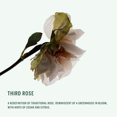 Corpus Third Rose Deodorant Spray bottle close-up highlighting aluminum-free formula for gentle odor control.