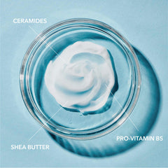 Curél Itch Defense with advanced ceramide complex supports moisture balance.