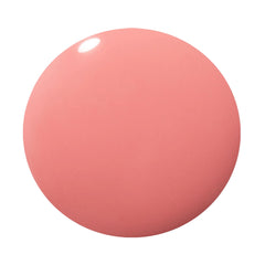 Dazzle Dry Campus Crush bottle on display highlights coral undertones and even coverage.
