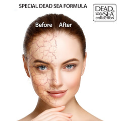 Label highlights mineral-rich formula of Dead Sea Collection night cream