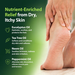 Derma-Nu Tea Tree and Mint blend ingredients close-up for nourishing foot care