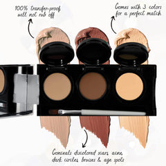 Dermaflage waterproof palette swatches for all-day color correction